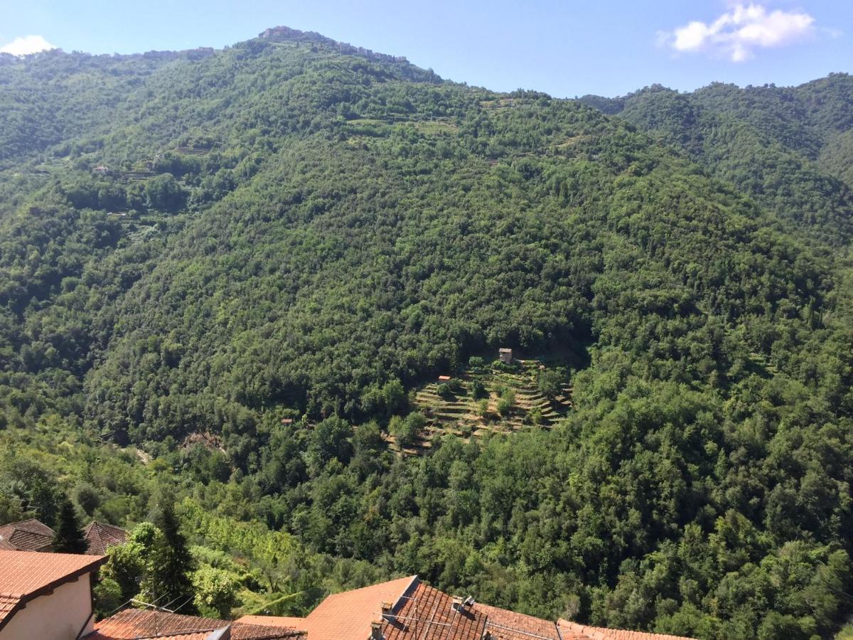 House In The Medieval Village Apricale Zewnętrze zdjęcie